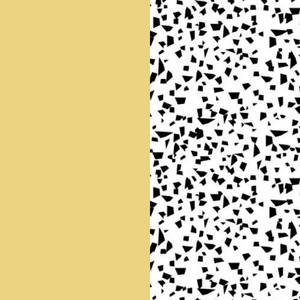 Mobility Info Event – European Funding Opportunities in 2022