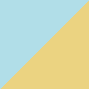 ERC Synergy Grant (SyG) – Info Event